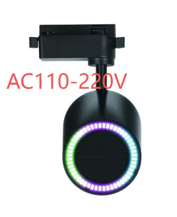 SD-B1 20W Track Light Speaker