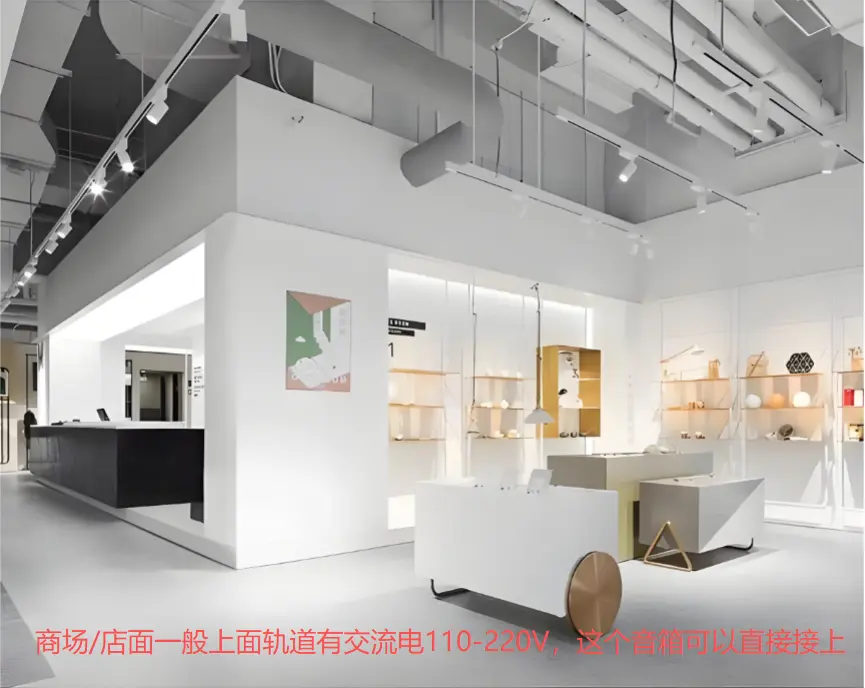 SD-B2 Auracast Ceiling Speaker